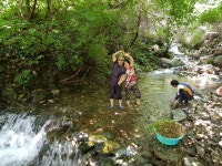 주목산장