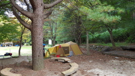 용문산야영장&글램핑캠핑장