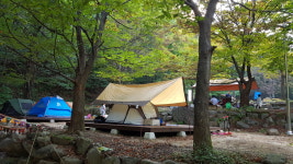 용문산야영장&글램핑캠핑장
