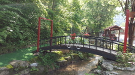 느티나무골펜션