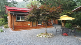 느티나무골펜션