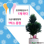 플라워