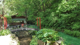 느티나무골펜션