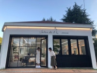살롱드오늘