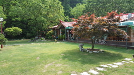 느티나무골펜션