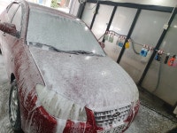 손세차 대한민국