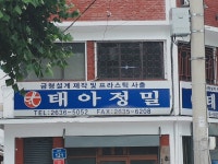 태아정밀