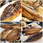 돈꼬레