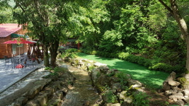 느티나무골펜션