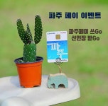 늘이네 냉동삼겹살