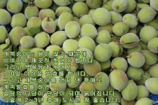 영농조합법인 선한농부마을