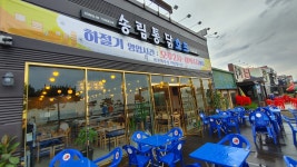 송림통닭