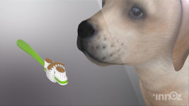 에이지글로벌스