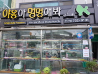 야옹아멍멍해봐황산애견점