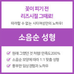 시티여성의원