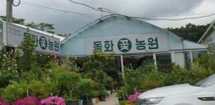 동화꽃농원