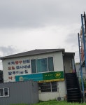 미성카쎈타