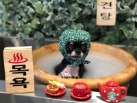 온블리살롱