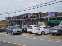강촌맛집