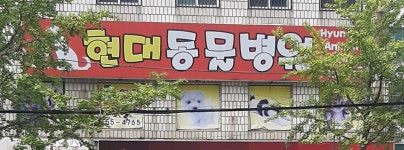 현대동물병원