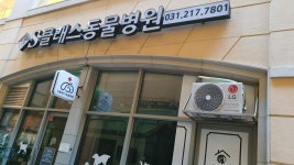 S클래스동물병원
