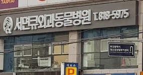 서면큐외과동물병원