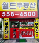 월드공인중개사사무소
