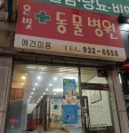 은빛동물병원
