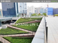 에이치엘조경