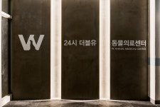 더블유동물의료센터