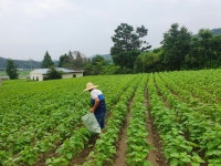 오레시피 청주동남점