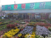비봉도기화훼직판장 | 전남화훼공판장