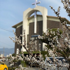 칠금교회
