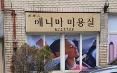 애니마미용실