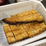 광교장어