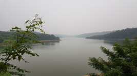 산호수블루베리 농장