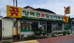 향록원꽃할인직매장