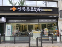 선릉동물병원
