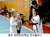 극동본관태권도
