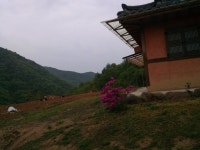꽃피는 산골 펜션