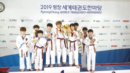 용인대백호태권도