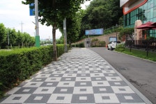 와이디티
