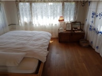 하도리오길잘했어