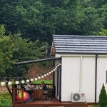 젤루느린달팽이