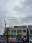백두권투체육관