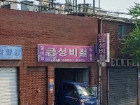 금성비철