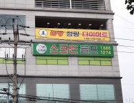 스카이스크린골프