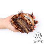 숨비 영어조합법인