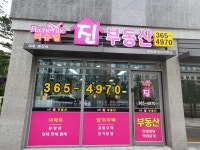 리슈빌진부동산공인중개사사무소