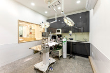 아이케어 동물병원